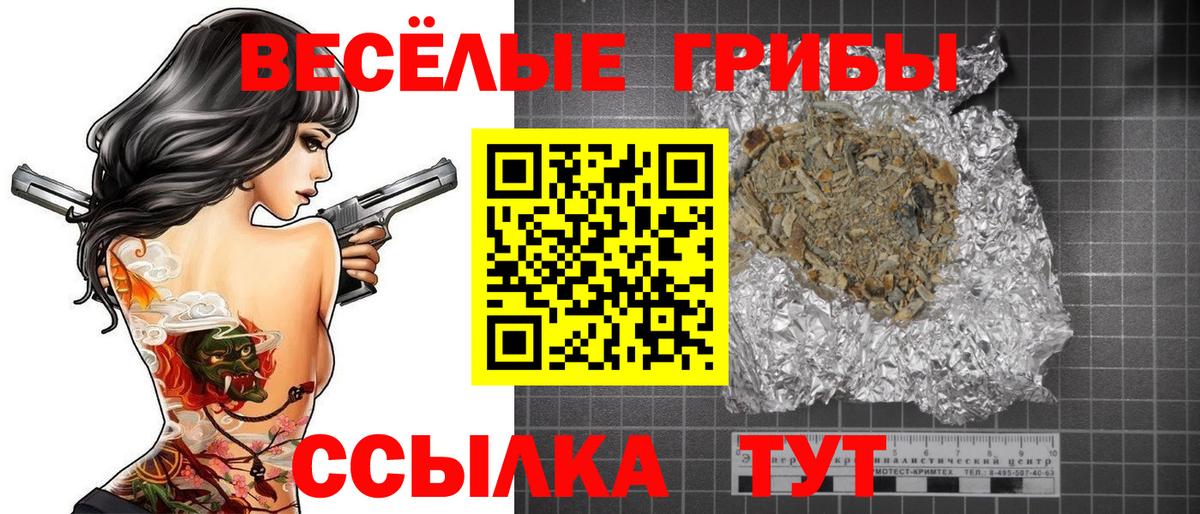Дзержинский  Галлюциногенные грибы Psilocybe  Вход с VPN 
